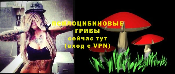ПСИЛОЦИБИНОВЫЕ ГРИБЫ Алзамай