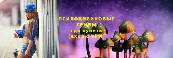 стаф Алексеевка