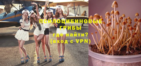 стаф Алексеевка