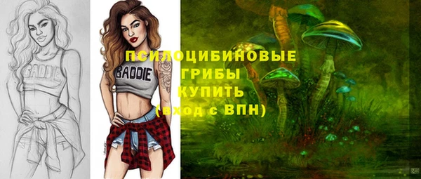 ПСИЛОЦИБИНОВЫЕ ГРИБЫ Алзамай