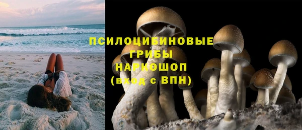 стаф Алексеевка
